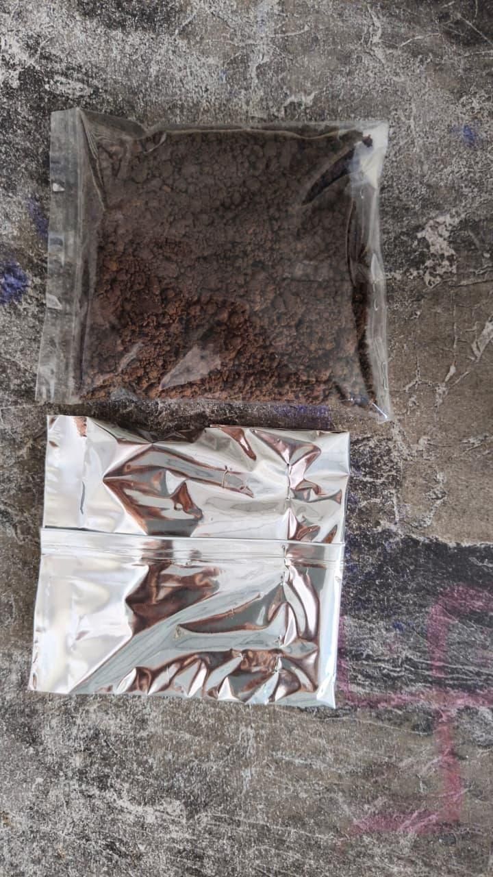 Kissbloom Roses Seeds Pack of 1